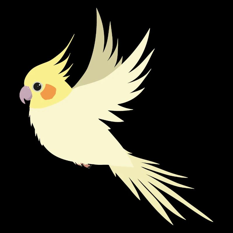 Cockatiel volant