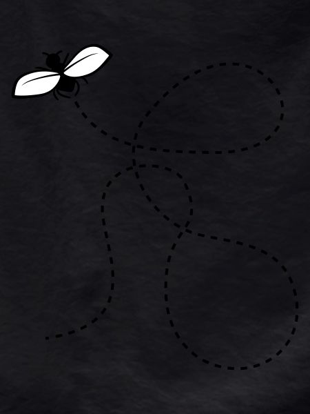 Dashed Line Fly