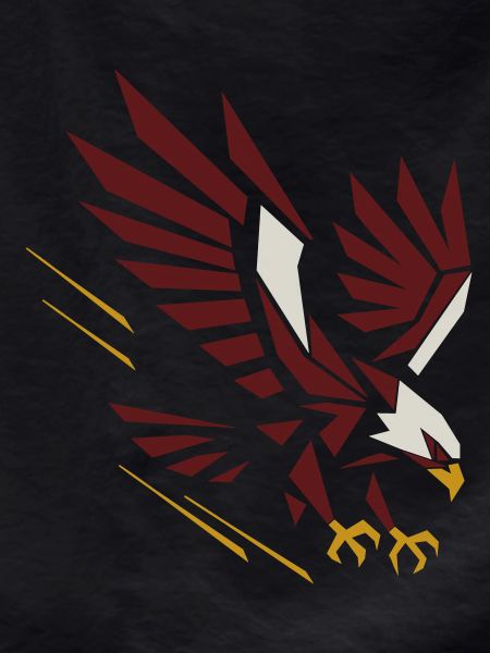 Geometric Eagle on Attack