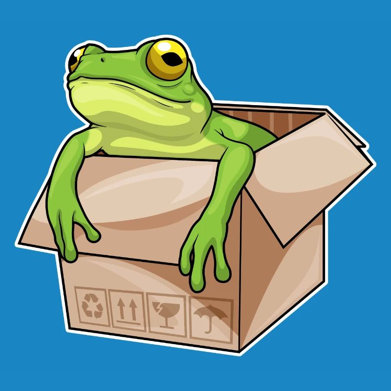 Frosch Karton