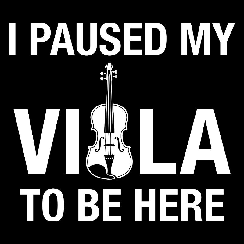 Bratsche Paused Viola Practice Musiker