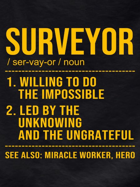 Surveyor