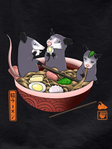Opossum Eating Ramen Funny Tee