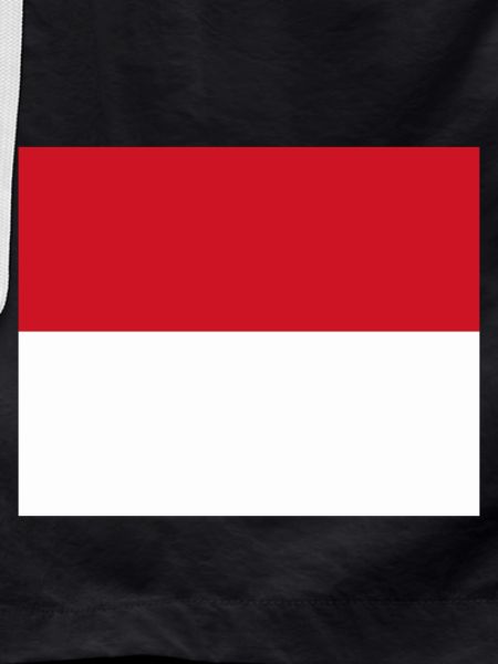 Monaco flag / Drapeau Monaco