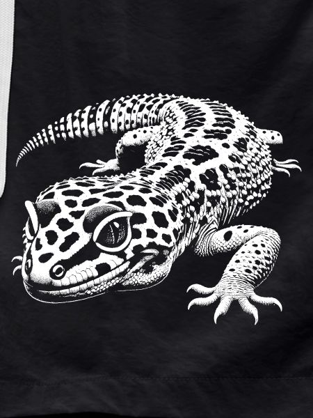 Gecko léopard