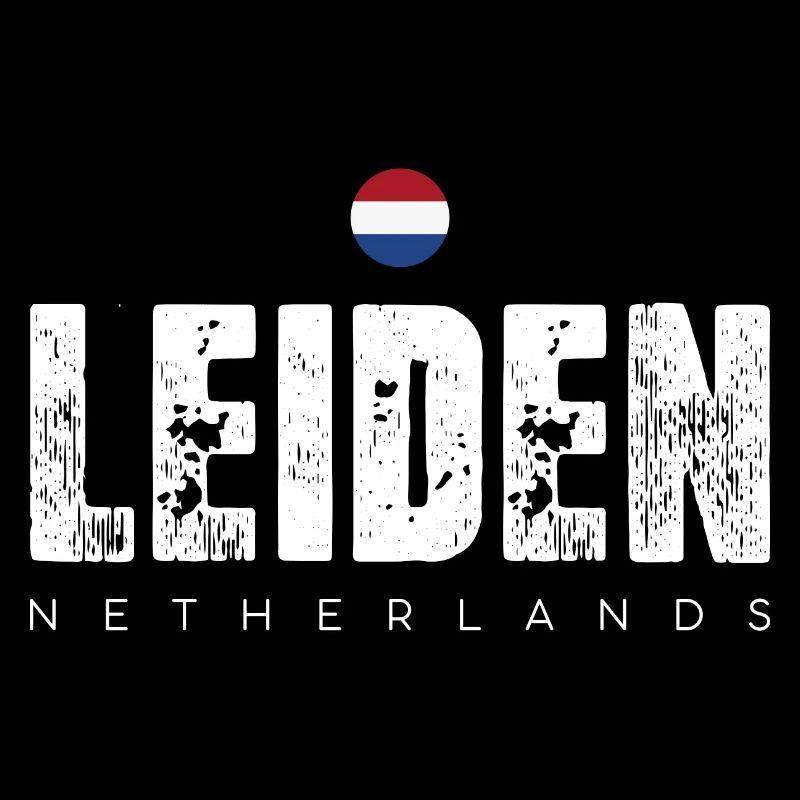 Impression en détresse de la ville de Leiden