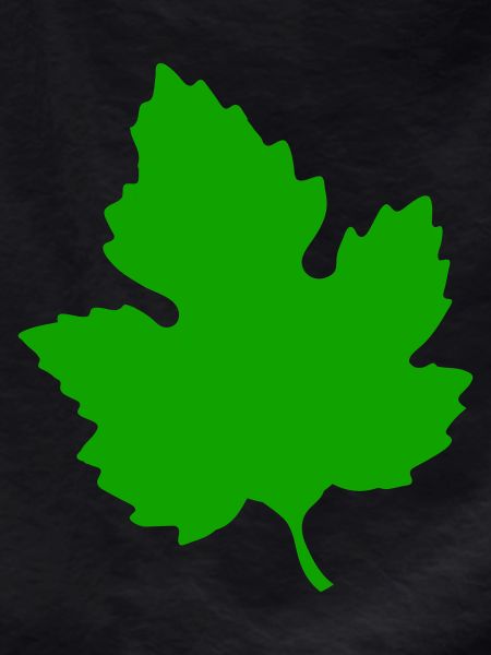 feuille