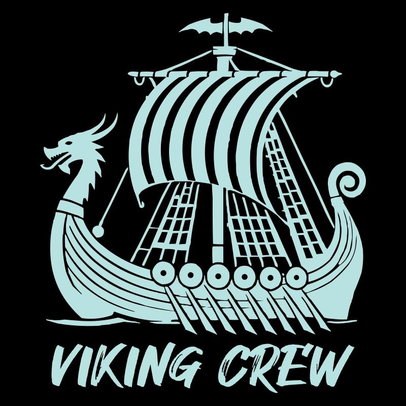 wikinger schiff viking