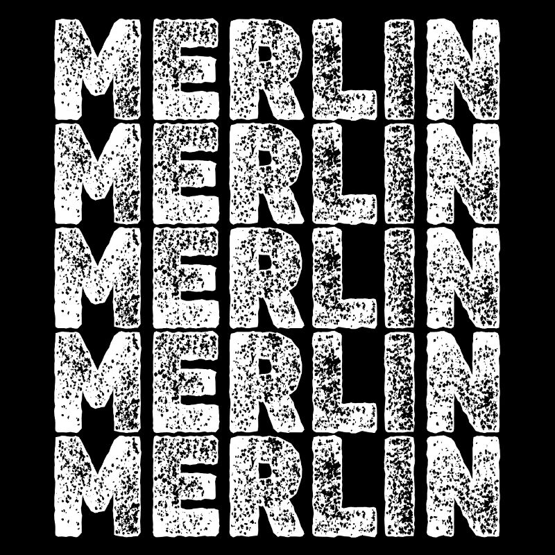 Held Merlin