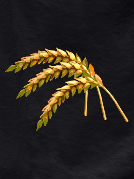 céréales