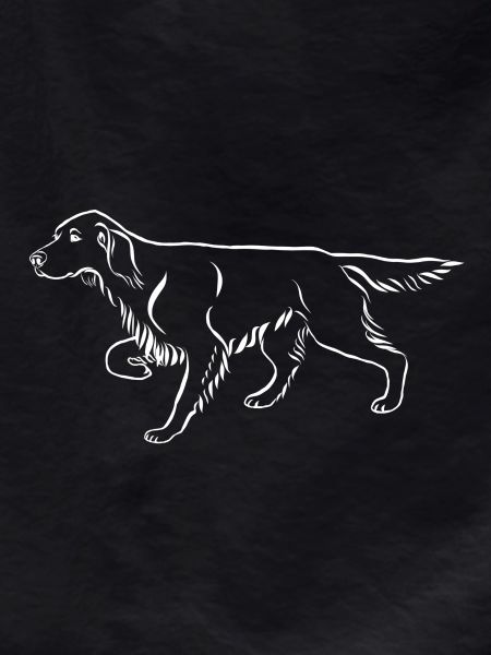 Setter ci-dessus