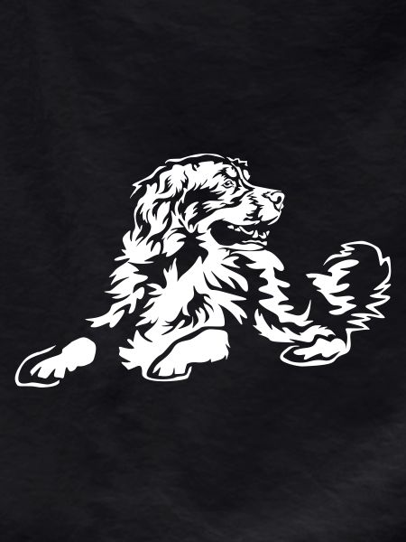 Bernese Mountain Dog "Black Edition