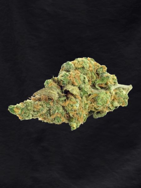 Single Cannabis / Weed Bud / Blossom