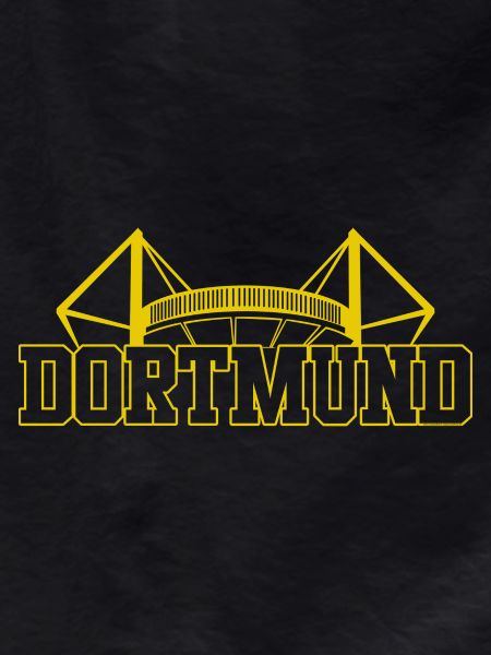 Dortmund Stadium Fan