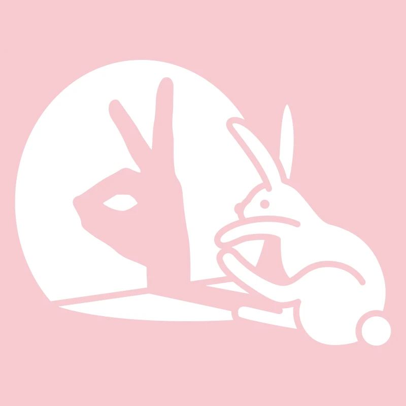 Funny Rabbit Hand Shadow Projection Rabbit