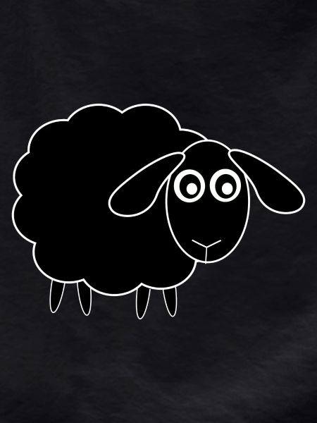 black sheep sheep