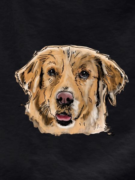Golden Retrievers