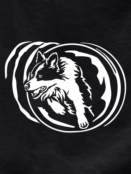Border Collie "Black Edition"