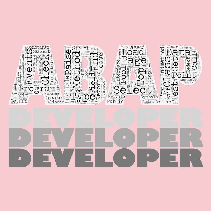 ABAP Developer