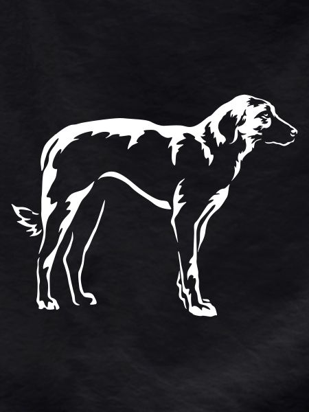 Kangal "Black Edition"
