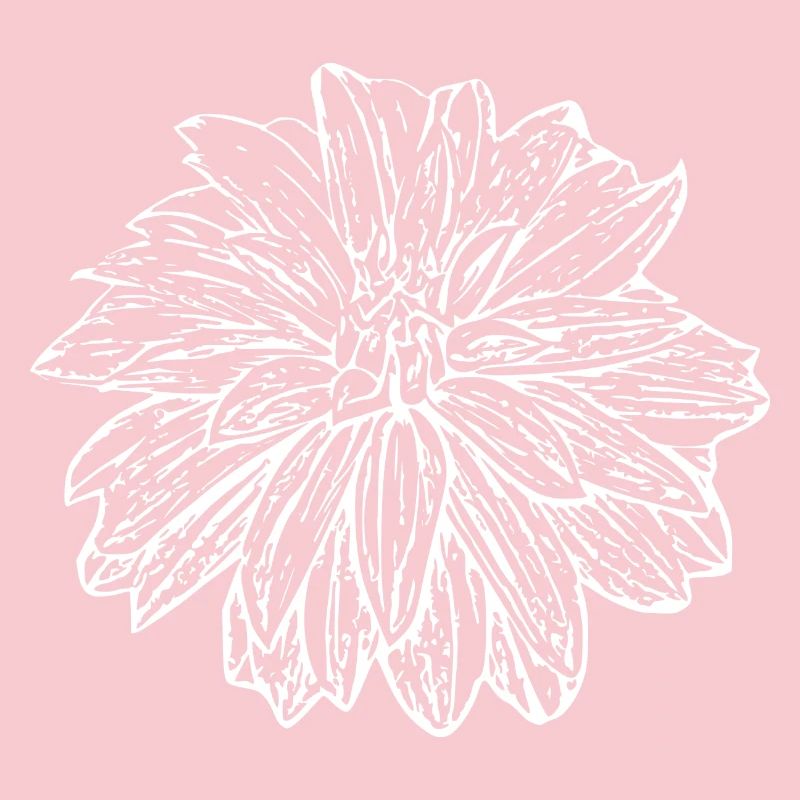Fleur, Blanc, Fleur Blanche