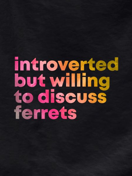 Ferret Ferret Ferret