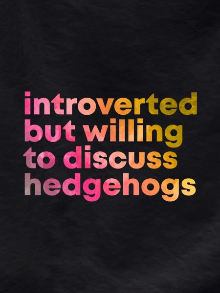 Hedgehog Hedgehog Hedgehog