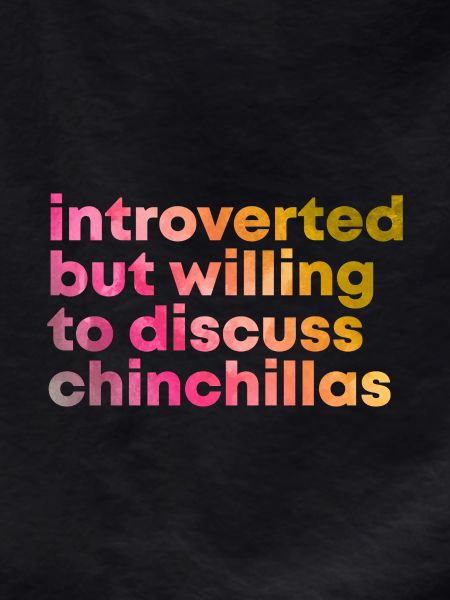Chinchilla Chinchilla Chinchilla