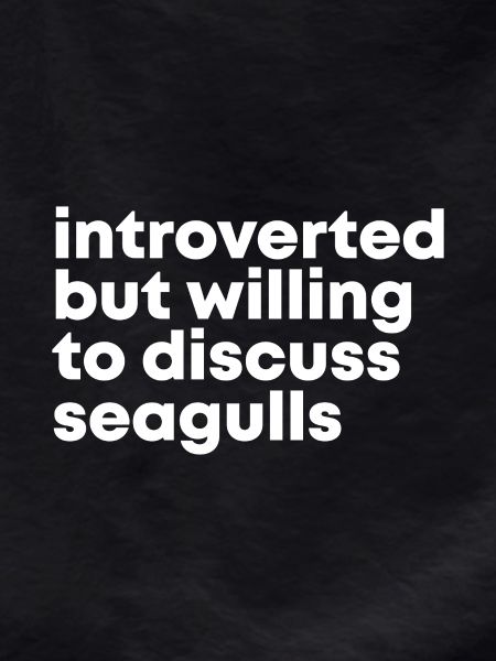 Seagull Seagull Seagull