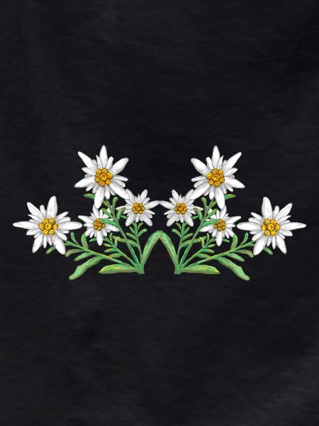 Edelweiss 