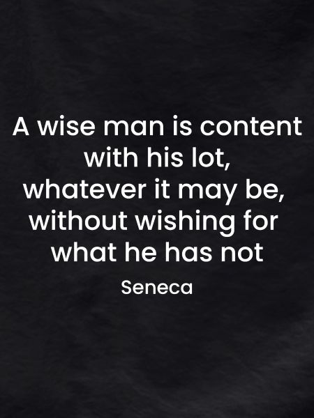 Inspirational Seneca Quote Design