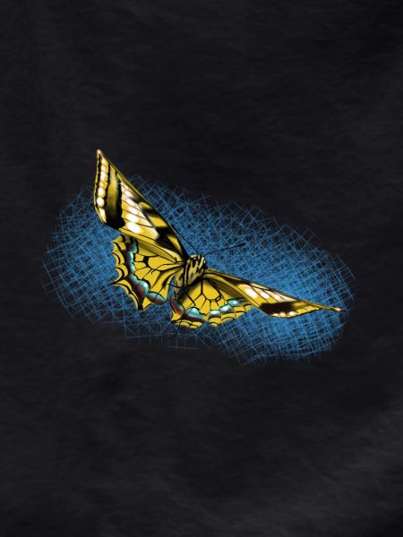 Yellow Butterfly Blue Accent