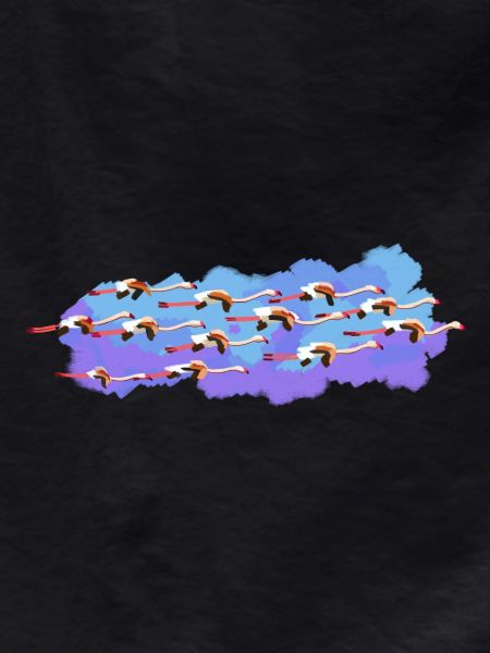 Flamingos on the road