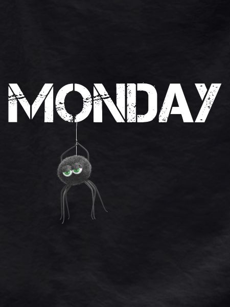 Monday Spider