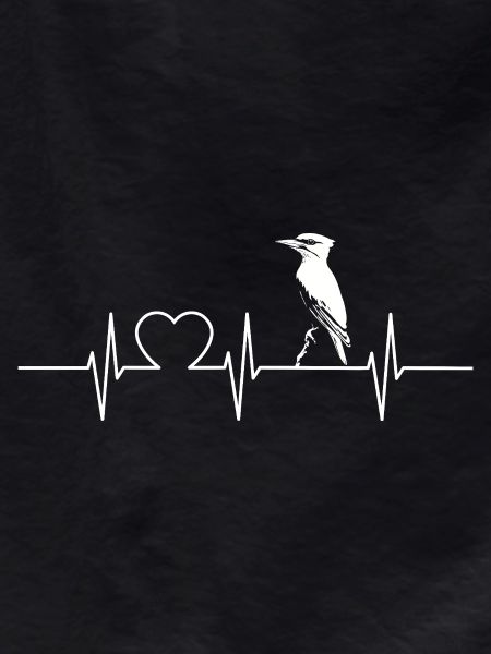 Woodpecker Woodpecker