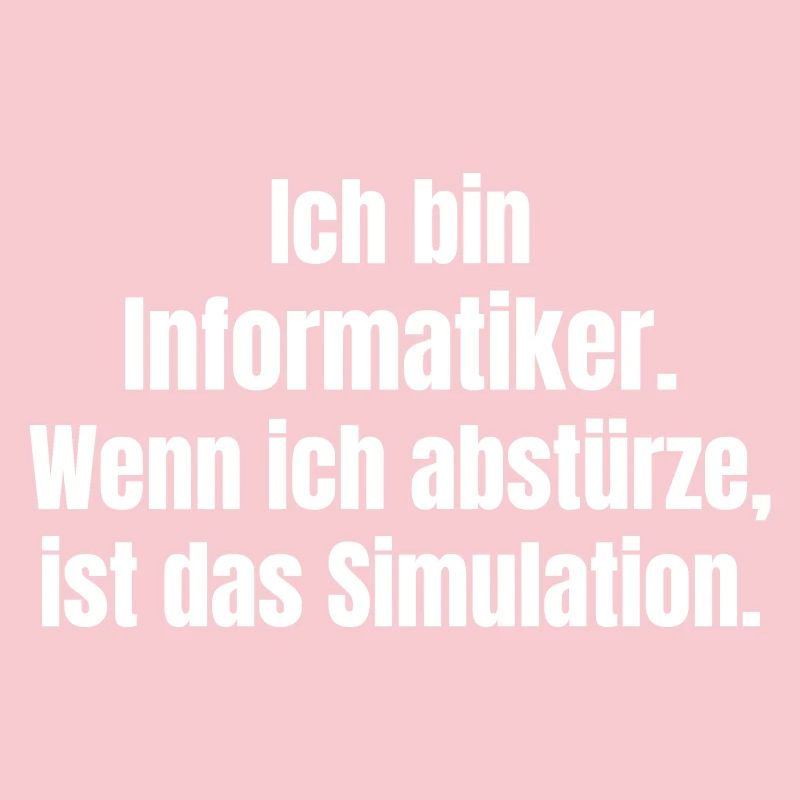Ich bin Informatiker – Absturz als Simulation