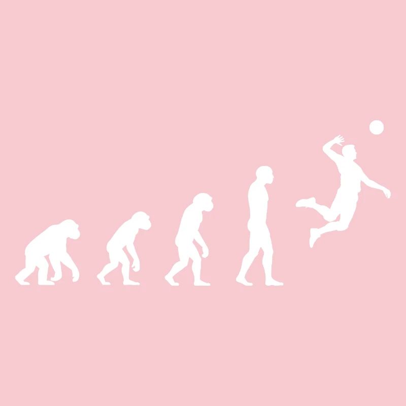Evolution volleyball 