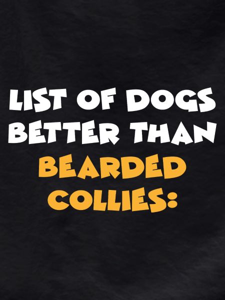 Bearded Collie