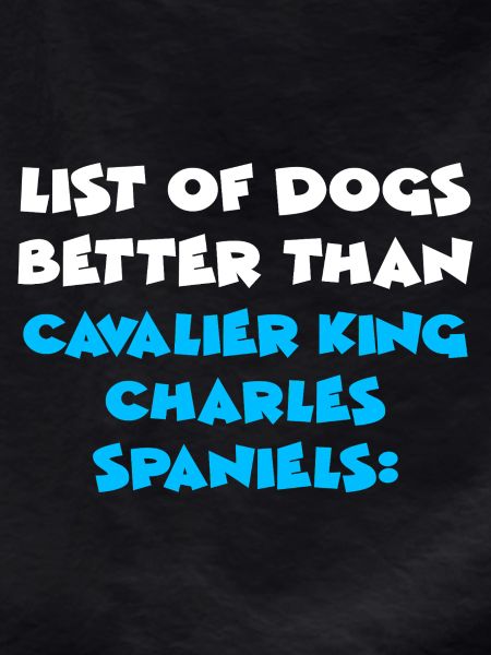 Cavalier King Charles Spaniel