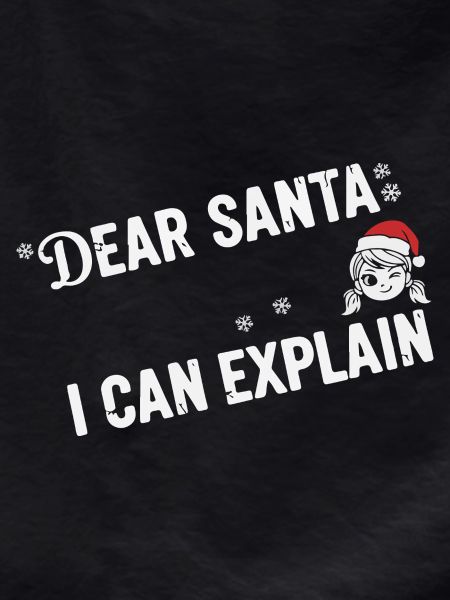 Dear Santa I Can Explain