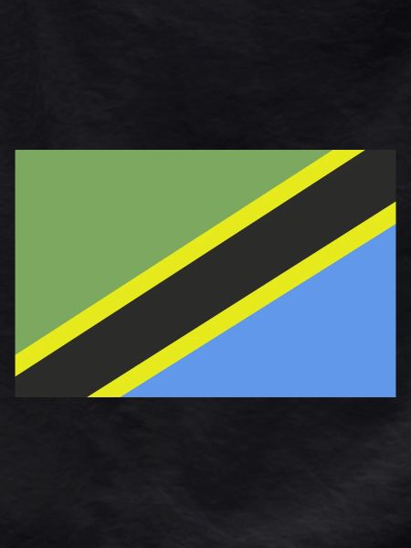Tanzania flag