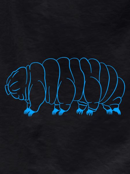 Tardigrade Tardigrade Water Bear Tardigrade