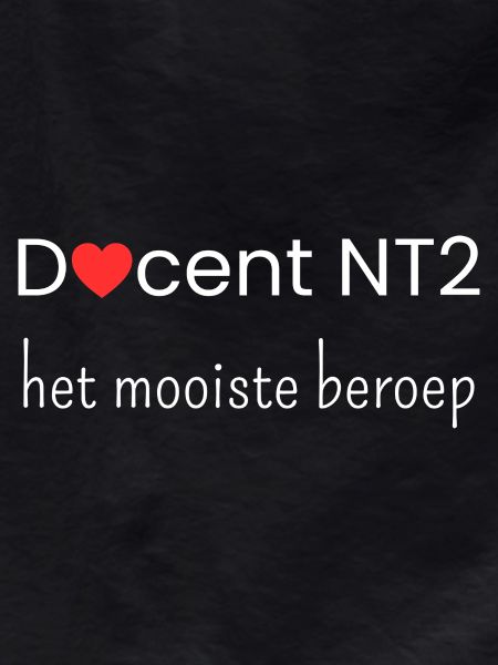 NT2 teacher: the best profession