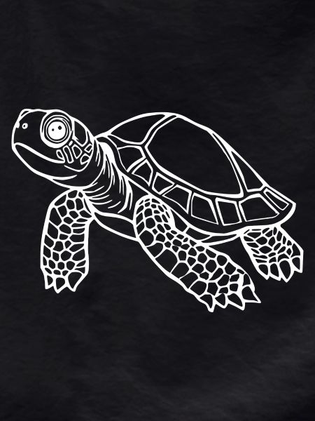 Turtle Turtles