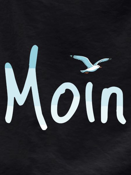 Moin Seagull