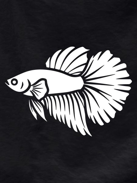 Betta Fish Aquarium Vector