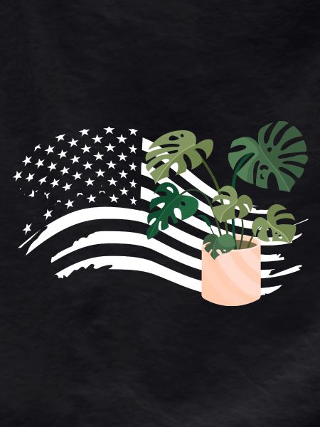 American Flag Plant Lover Plants