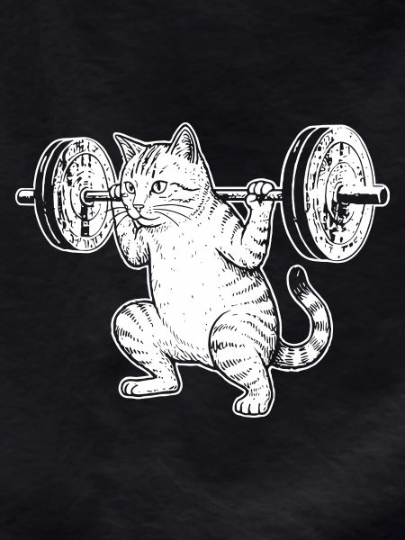 Cat Training Strength Lift