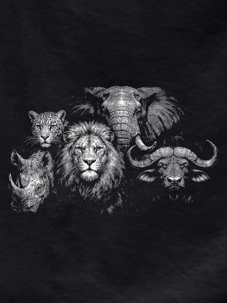 « Big Five »