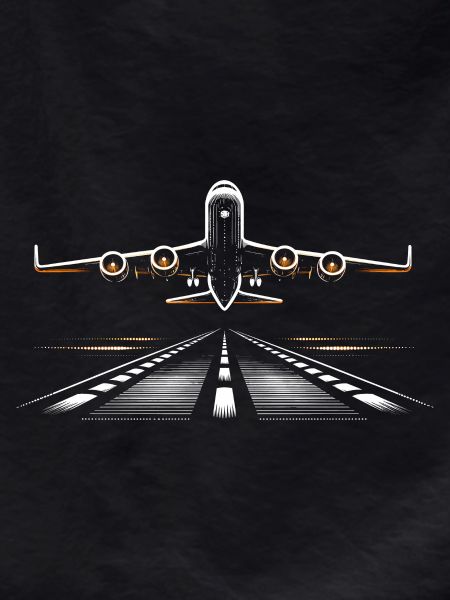 Airplane Flight Pilot Airplane Airline
